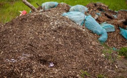 秸秆猪粪混种菌，技术难点在哪？