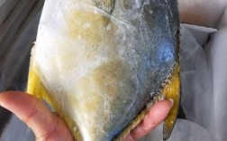金鲳鱼价格多少钱一斤？