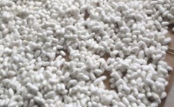 2025蚕茧曲靖价格会是多少？