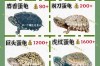 2025年石龟苗价格会涨还是跌？