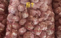 大蒜头价格多少钱一斤？