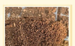 蚯蚓和猪粪的养殖技术