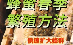 蜜蜂引蜂技术视频全集