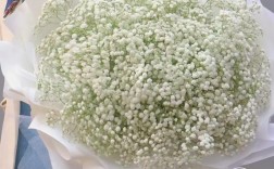 一束白色满天星价格多少？