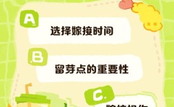 柚子树嫁接技术和时间