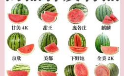 西瓜都有什么品种名字