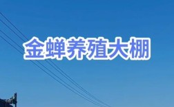 金蝉大棚养殖技术视频怎么学？