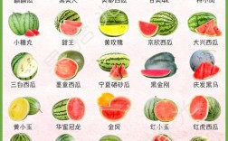 晚熟西瓜品种几月份种植合适？