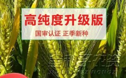 济麦22小麦品种有何突出特点？