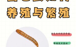 黄粉虫养殖咋赚钱？技术销售有啥诀窍？