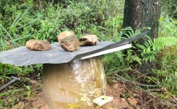 野生中蜂诱捕技术视频怎么做？