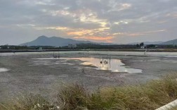 龙虾养殖技术资料大全，关键点有哪些？