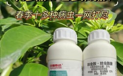 柑桔病虫农药技术视频有哪些要点？