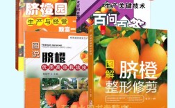 脐橙栽培管理有哪些关键技术？