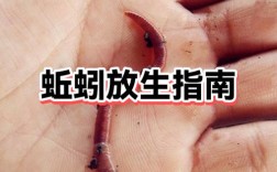 2025蚯蚓养殖技术有哪些新突破？