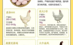 产蛋多的鸡品种有哪些？