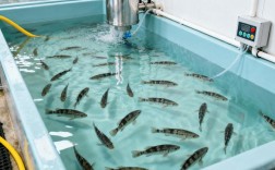 水产生态健康养殖技术