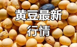 黑龙江黄豆今日最新价格多少？