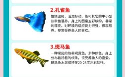 哪些淡水观赏鱼适合家庭养殖？