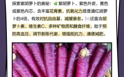 紫胡萝卜怎么种？视频教你技术要点