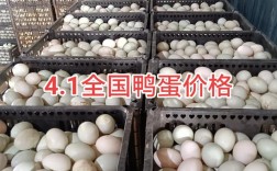 河南鸭蛋今日价格多少？