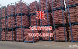 大蒜子2025年价格会涨还是跌？