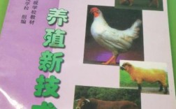 思麻兔养殖新技术具体有哪些要点？