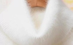 2025长毛兔兔毛价格会涨还是跌？