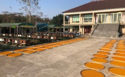 哪里能下载蜜蜂养殖技术视频？