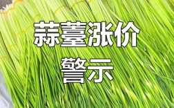 2025年蒜薹价格会涨还是跌？