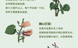 瓜类蔬菜育苗有哪些关键技术要点？