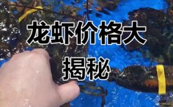 龙虾价格一斤多少？