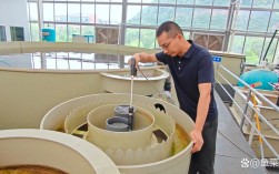 流水增氧如何高效虹鳟养殖？