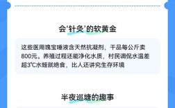 莲藕水蛭混养，如何实现效益最大化？