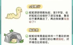 大王蛇种蛇如何科学喂养？