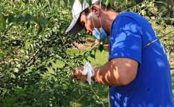 嫁接技术创业，如何从案例走向成功？