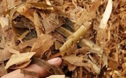 青玉米秸秆发酵技术视频怎么做？