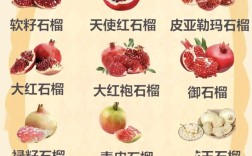 石榴常见品种图片大全