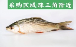 2025武汉鲫鱼价格会涨还是跌？