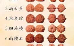 核桃哪些品种好？附图片看特征。