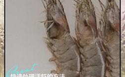 无公害淡水虾养殖技术要点有哪些？