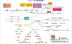 如东南美对虾养殖技术有哪些要点？