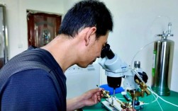 蜜蜂人工授精技术视频怎么操作？