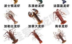 淡水小龙虾究竟有多少品种？