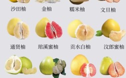 不同柚子品种几月成熟？