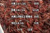 龙虾苗价格为何波动大？小龙虾价格受何影响？
