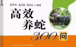 养殖饲养与管理技术如何高效提升？