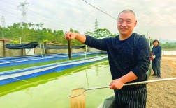 鱼鳅养殖技术视频讲座有哪些关键要点？