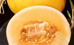 世界哈密瓜品种有哪些？