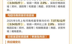 河南鸡蛋今日价格多少钱一斤？